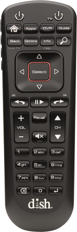 Voice Remote